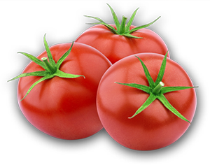 tomatos-300x236